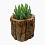 Wooden planter