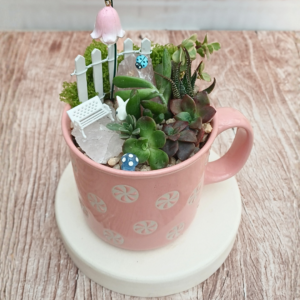 Succulent mini garden in a pink ceramic mug with moss, pebbles, and fairy garden décor including a white bench and tiny mushrooms.
