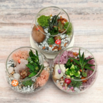 Miniature Glass Terrarium with Succulents – Mini Garden Arrangement | Decorative Glass Terrarium