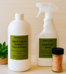 Succulent and plant care gift
