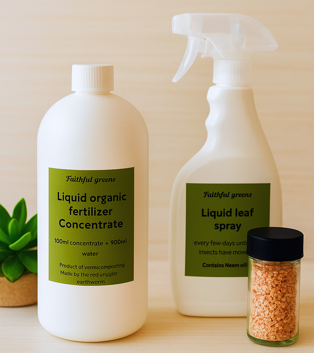 succulent/plant care gift