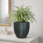 Sedona Premium Lightweight Concrete Indoor Pot – Modern Lytroc Planter for Luxury Home & Office Décor