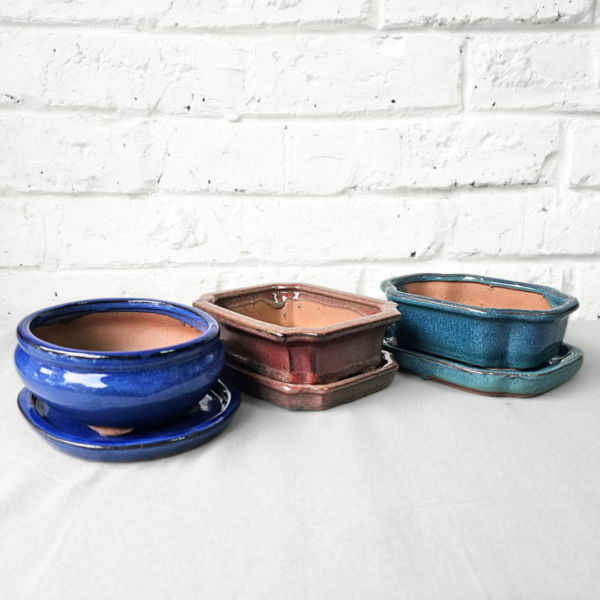 Bonsai Pots – 3 Pack Decorative Planter Set with Matching Saucers - Image 3
