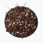 Elysian Root Blend - Premium Soil Mix for Hoyas and Aroids (6dm)