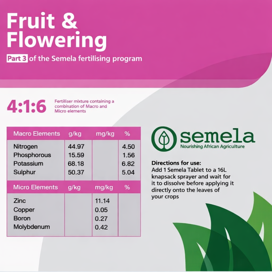 Semela Fruit and Flowering