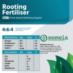 Semela Rooting Fertiliser – Foliar Nutrient Tablets for Strong Root Development