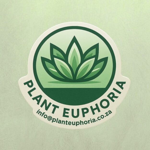 Plant Euphoria