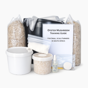 oyster mushroom training grow kit