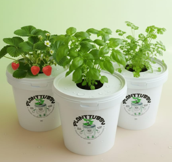 Planttubby – Self-Watering Ready-to-Plant Bucket with Wicking System - Image 2