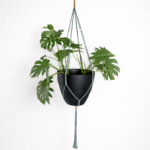XL Sage Macramé Plant Hanger with Natural Wooden Beads – 1350mm Extra Long Indoor Hanging Planter – 6cm Wooden Ring – Fits 25cm–30cm Pots