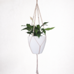 XL Cream Macramé Plant Hanger with White Wooden Beads – 1400mm Extra Long Indoor Hanging Planter – Fits 25–30cm Pots – Natural Cotton