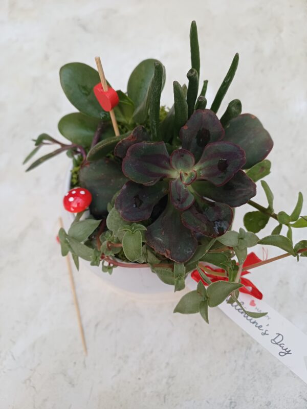Cup of Love Succulent Mug | Valentine’s Day Plant Gift | Mini Succulent Garden Arrangement - Image 3