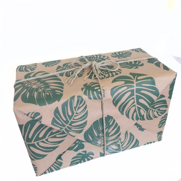 Plant Lover Gift Bundle 01 – Aroid Soil Mix, Diatomaceous Earth, Monstera Wall Propagator & Keyring Gift Set - Image 2